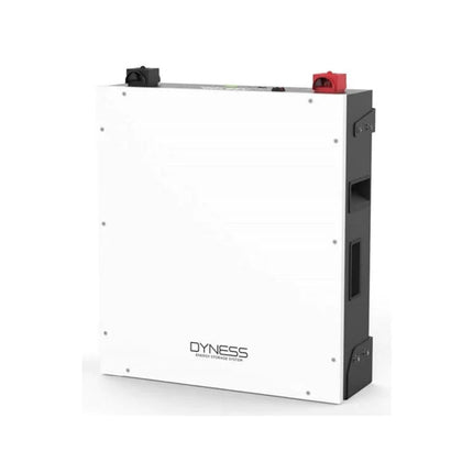 RCT Dyness A48100 48vDC 4.8Kwh Lithium Battery Module